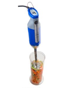 Professioneller Stabmixer GSM1000
